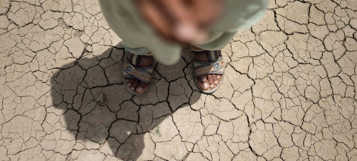 UNICEF: 76% of children in S. Asia are exposed to extreme high temperatures