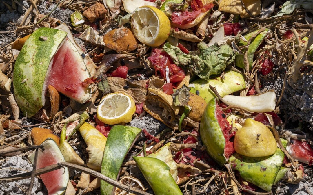 UNEP chief highlights three ways for action on food loss, waste