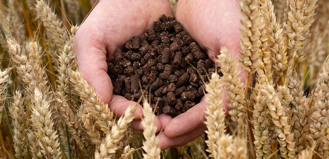 Nestlé UK piloting innovative use of cocoa shells as low-carbon fertilizers