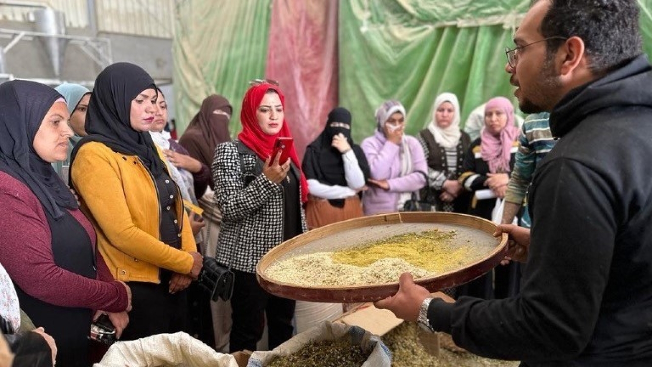 UN-run Rabeha program backs 300 rural women in 3 governorates in 11 months