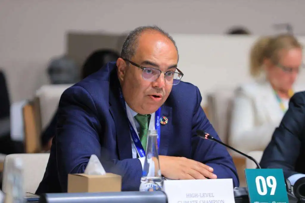 Mohieldin urges activating debt swaps to finance climate action in developing countries