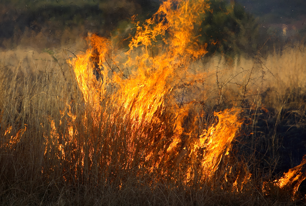 Research:40% rise in Africa wildfire over past 4 decades..aerosols play key role