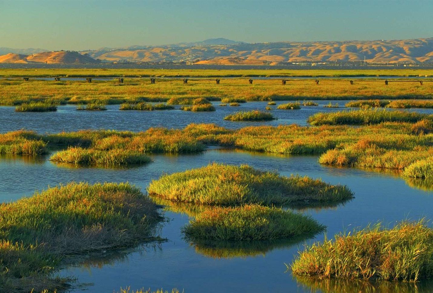New Copernicus tool to back wetlands protection efforts