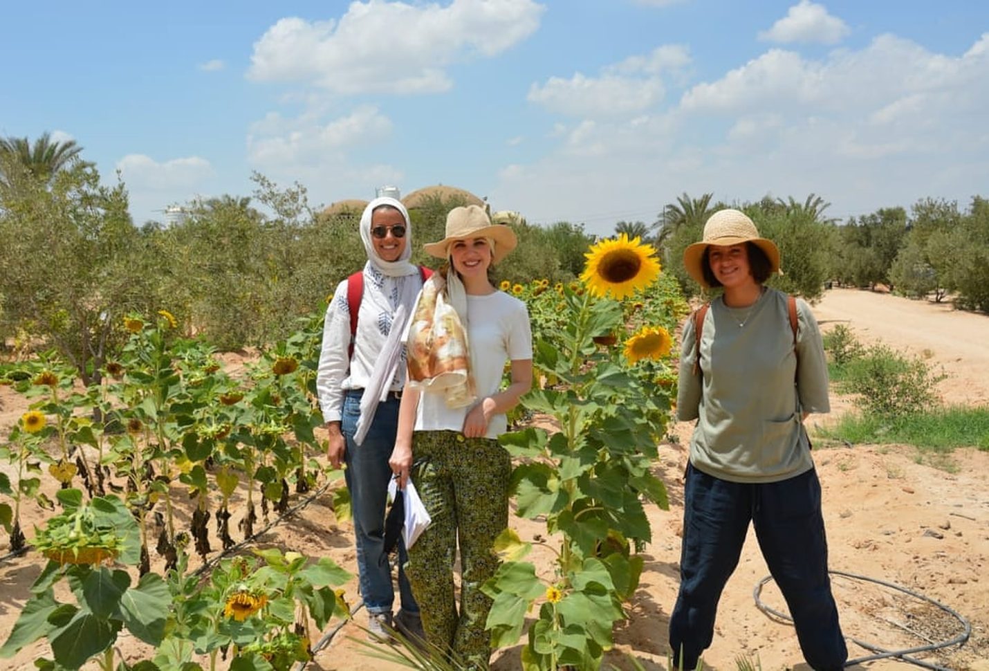 Agritourism beacon of hope for Egypt to create resilient livelihoods, promote sustainability