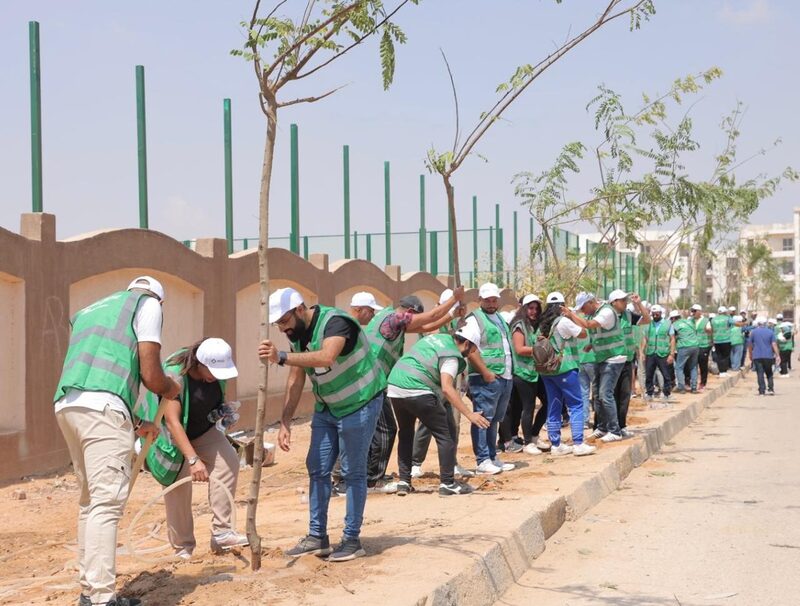 Collective Roots Egypt Egypt’s Ministry of Environment contributes 13 million trees under ...